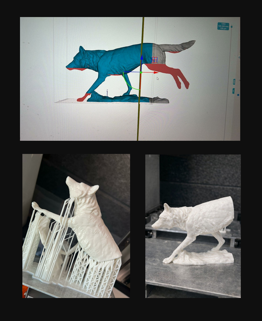 wolf_digital_to_print